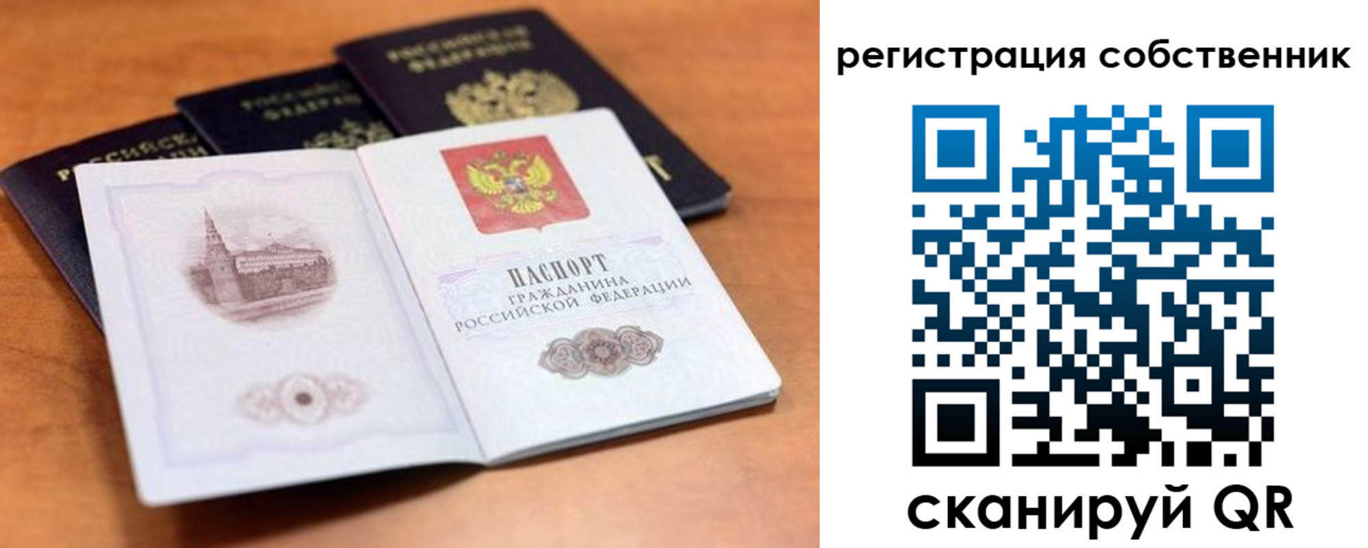 прописка поиск в Сарове